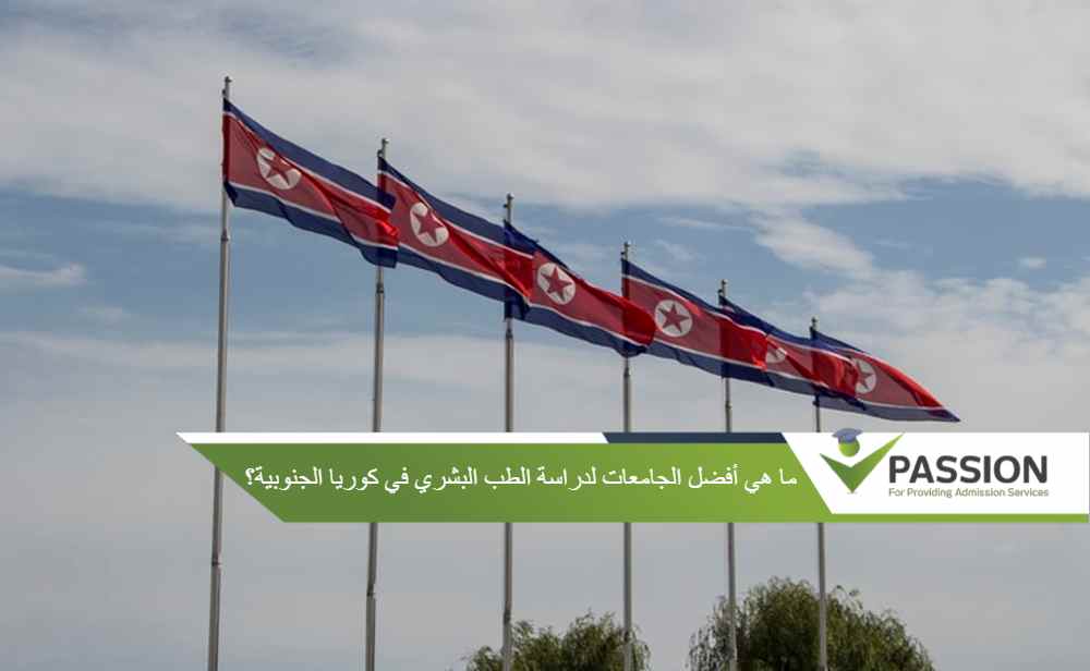 ما هي أفضل الجامعات لدراسة الطب البشري في كوريا الجنوبية؟