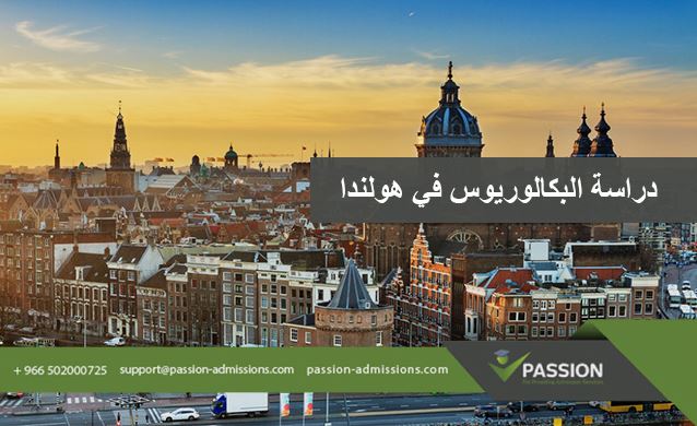 دراسة البكالوريوس في هولندا